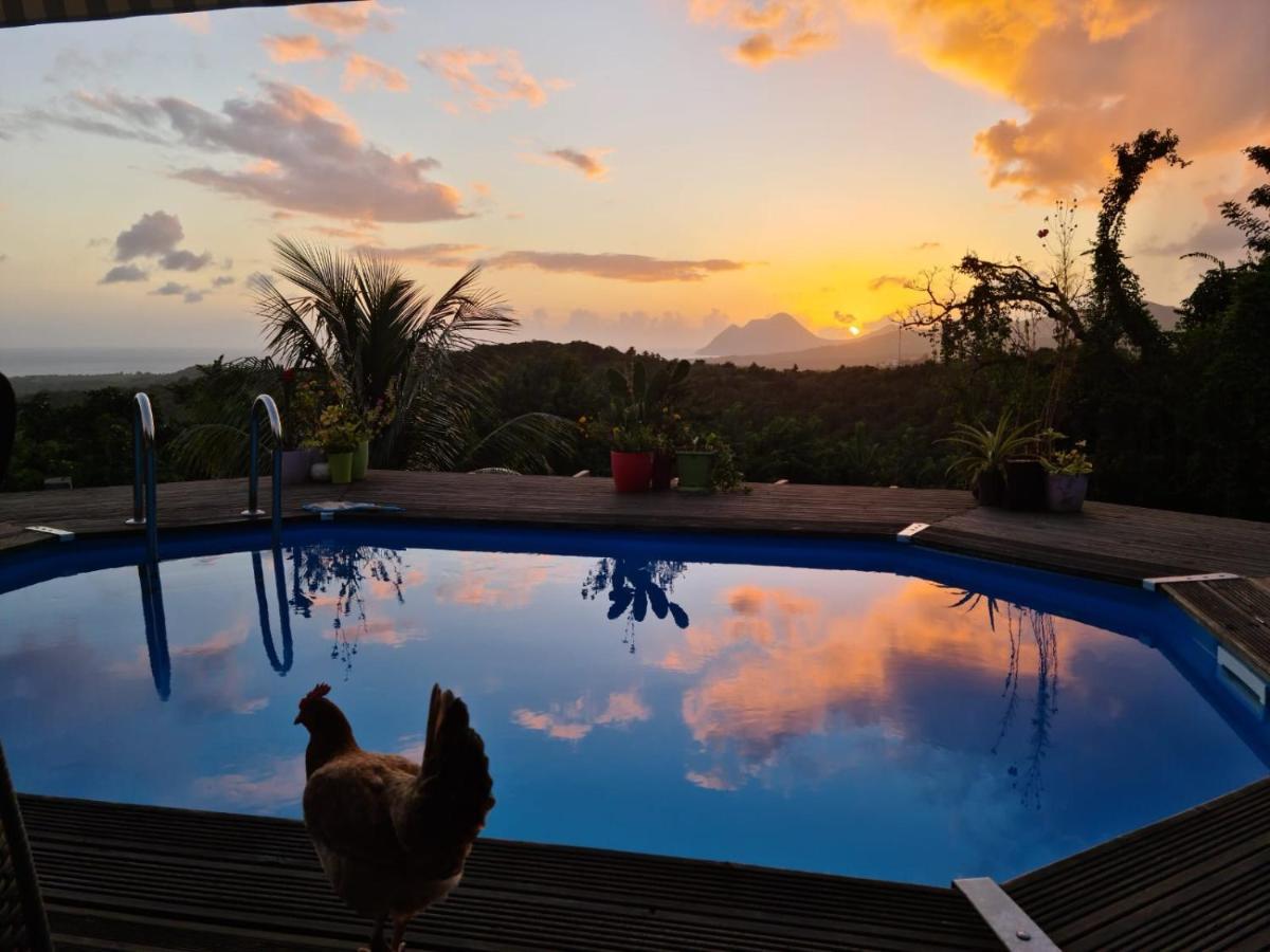 Chambre Chez L'Habitant Avec Piscine Privative Et Vue Panoramique Sur La Mer Des Caraibes Desmarinieres Exteriér fotografie